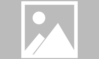 电竞战队迎新将，这款游戏新手也能成同盟核心